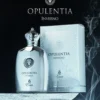 Opulentia Inverno- equivalente Creed Silver Mountain Water