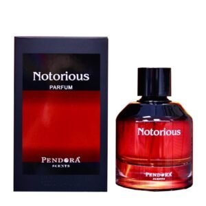 Eau de Parfum Paris Corner, Notorious, Uomo, 100 ml