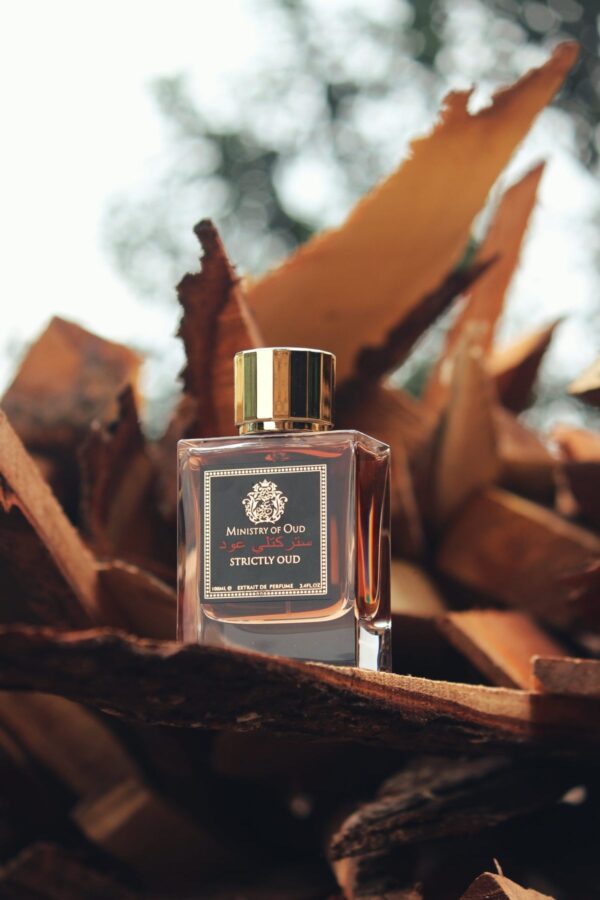 Estratto di profumo Ministry of Oud Strictly Oud, Unisex, 100 ml