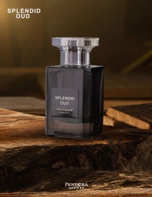 Eau de Parfum Paris Corner, Splendid Oud, Uomo, 100 ml